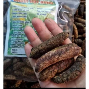 Chuối Hột Rừng Ngâm Rượu, Phơi Khô Tự Nhiên